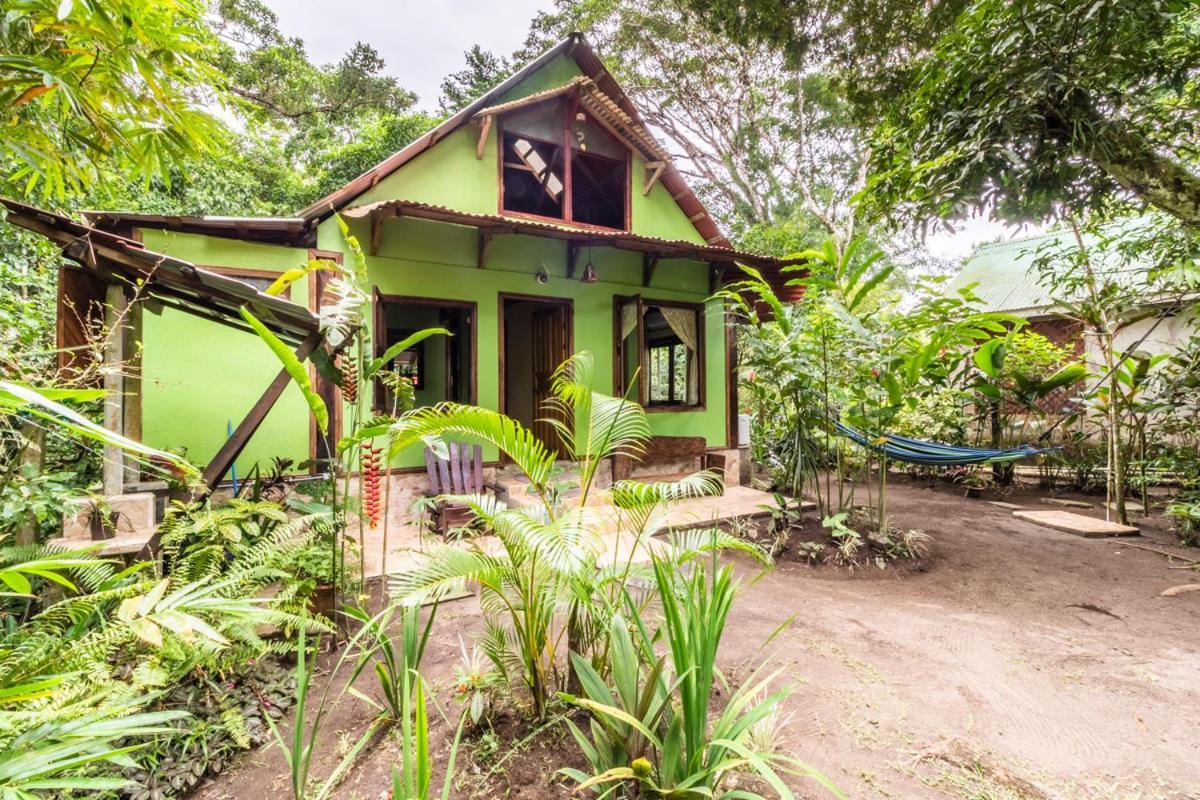 Casa Chilamates Tortuguero Exteriér fotografie