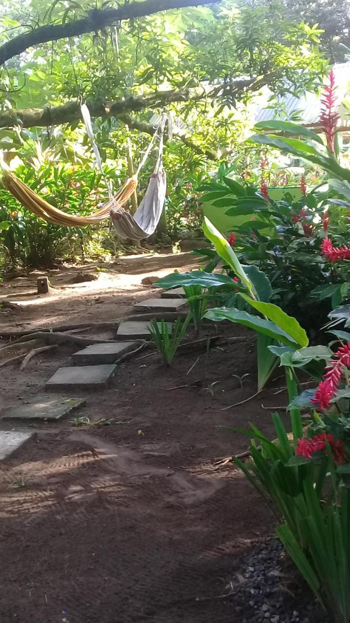 Casa Chilamates Tortuguero Exteriér fotografie