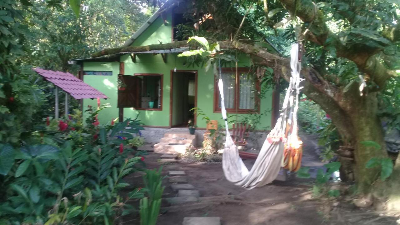 Casa Chilamates Tortuguero Exteriér fotografie
