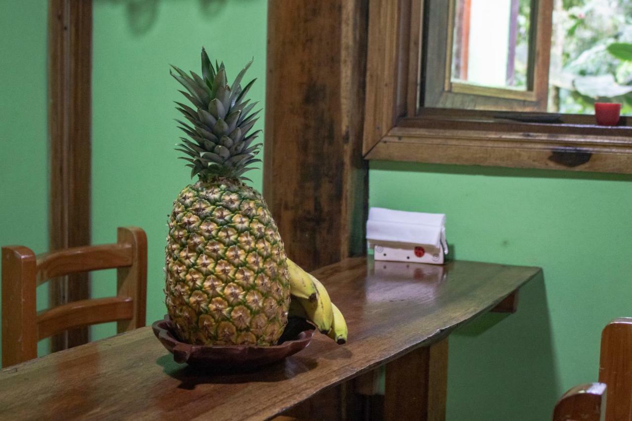 Casa Chilamates Tortuguero Exteriér fotografie