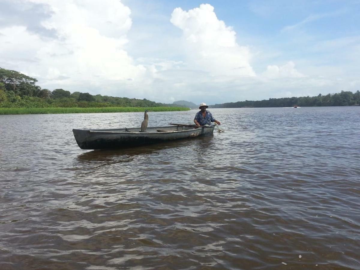 Casa Chilamates Tortuguero Exteriér fotografie